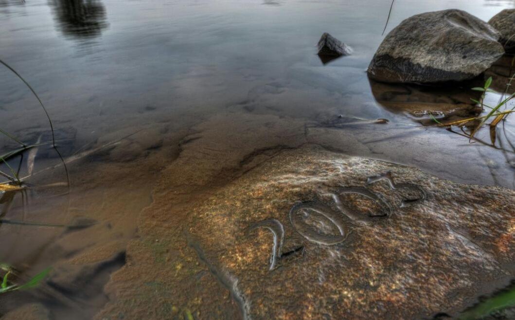 Schmidtalien Schlemmen Und Schlummern Dommitzsch Exteriér fotografie